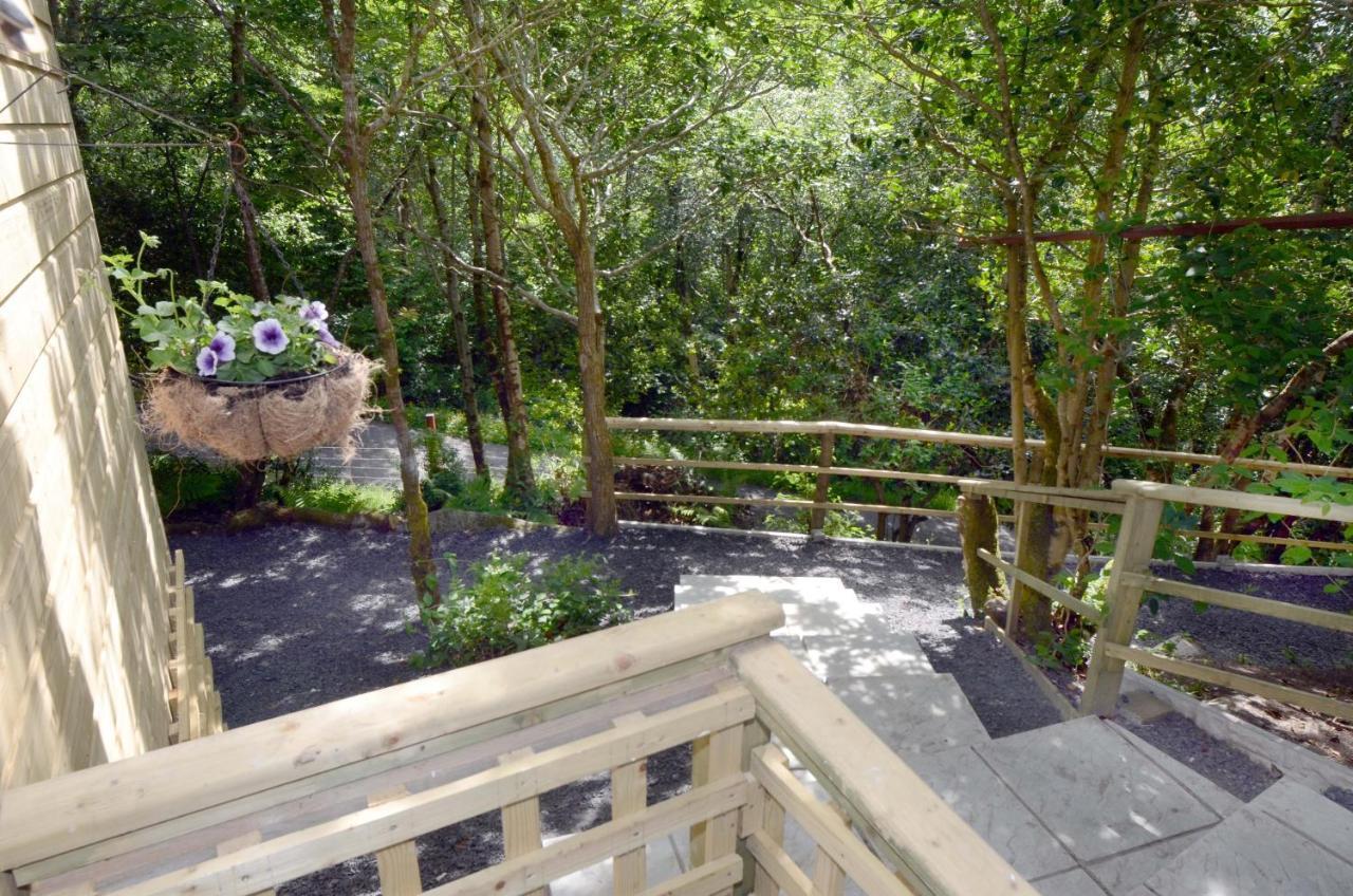 Tawny Lodge Westport Zewnętrze zdjęcie