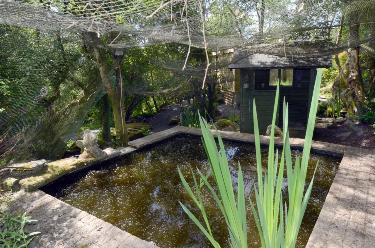 Tawny Lodge Westport Zewnętrze zdjęcie