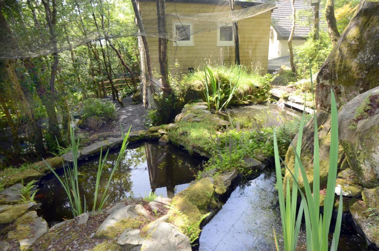 Tawny Lodge Westport Zewnętrze zdjęcie