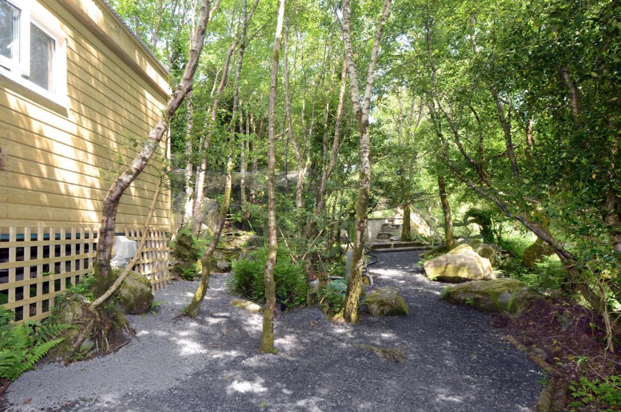 Tawny Lodge Westport Zewnętrze zdjęcie